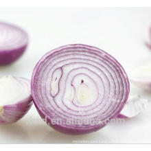Fresh onion/chinese green vegetables red onions